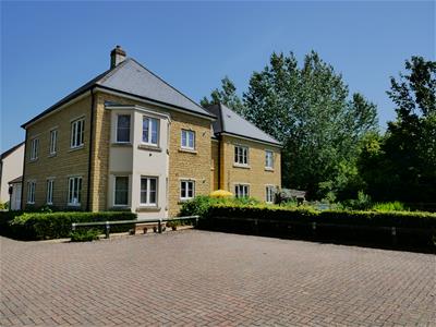 Picture 6